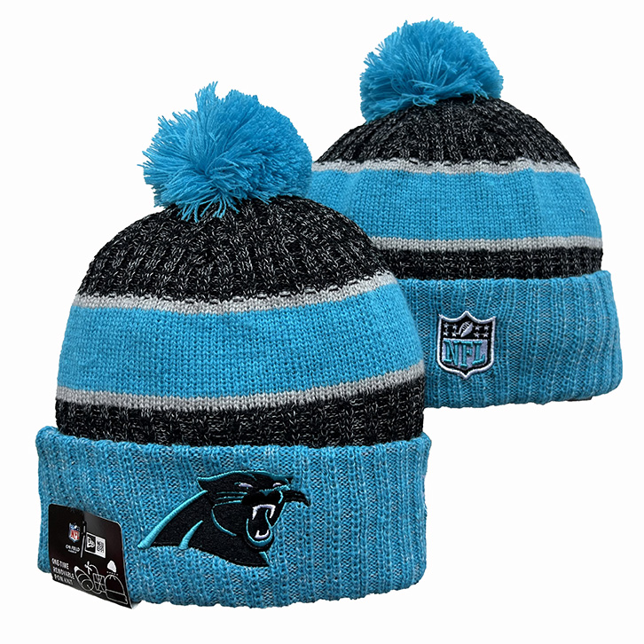 Carolina Panthers 2025 Knit Hats 007